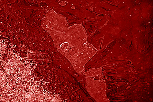 Frozen Bubble Eyed Ice Face Figure Along River Shoreline (Red Shade)