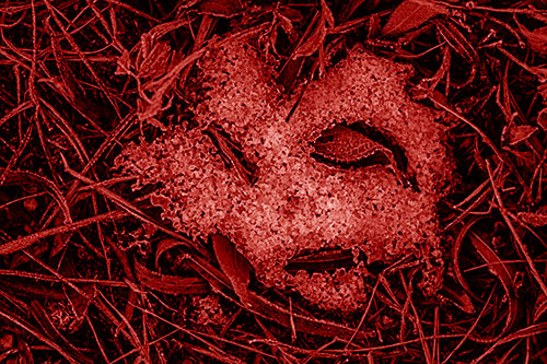 Frozen Leaf Eyed Snow Face Among Frosty Grass (Red Shade)