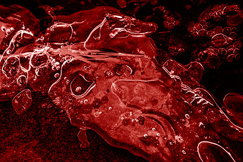 Frozen Shapeshifting Pupil Bubble Eyed Ice Face (Red Shade)