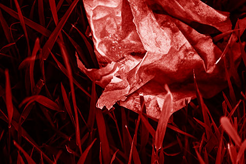 Grease Stained Demon Faced Taco Bell Wrapper (Red Shade)