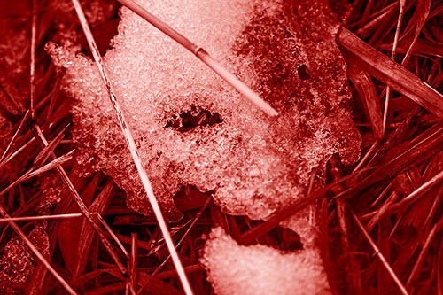 Half Melted Ice Face Smirking Among Reed Grass (Red Shade Photo)