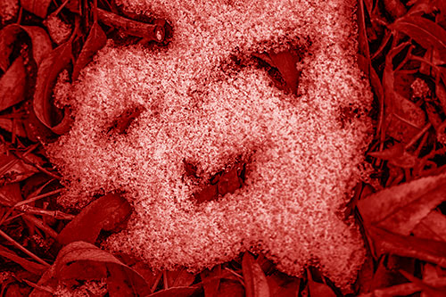 Happy Snow Face Among Dead Twisted Leaves (Red Shade)
