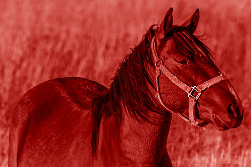 Horse Enjoying Grassy Dinner Meal (Red Shade)