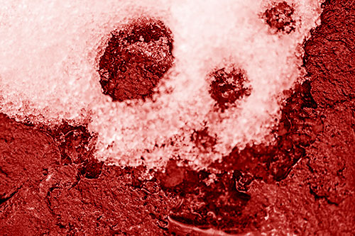 Ice Skull Snow Face Melting Atop Rock (Red Shade)