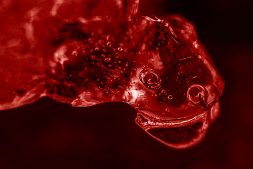 Joyful Frozen Bubble Eyed River Ice Face Creature (Red Shade Photo)