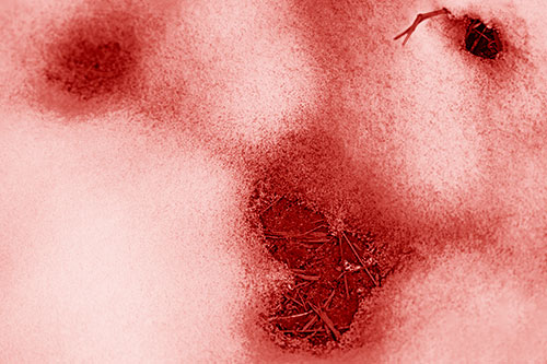 Joyful Soil Face Appears Beneath Melting Snow (Red Shade)