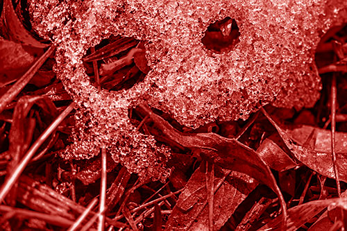 Joyful Tongue Twisting Leafy Eyed Glistening Ice Face (Red Shade Photo)