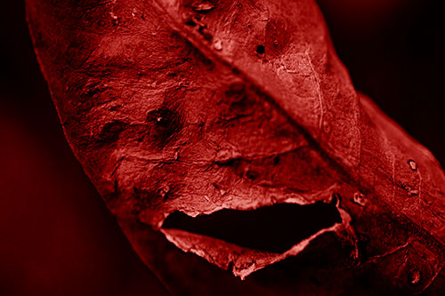 Lacerated Mouth Leaf Face Smirking Among Decay (Red Shade)