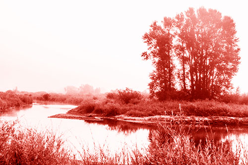 Large Foggy Trees At Edge Of River Bend (Red Shade Photo)