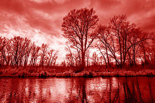 Leafless Trees Cast Reflections Along River Water (Red Shade Photo)