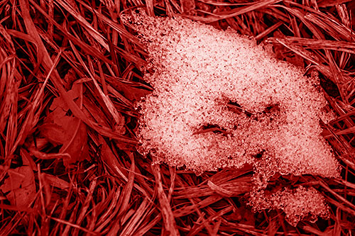 Miserable Slanted Grass Eyed Snow Face (Red Shade)