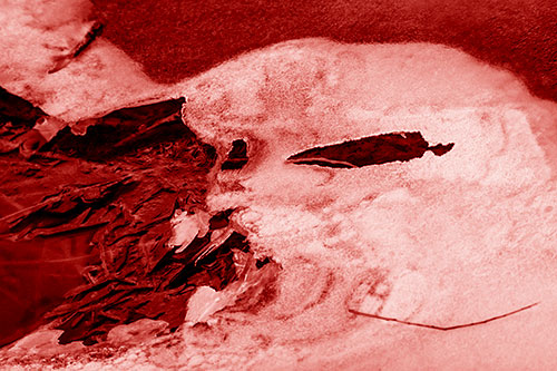 Mouth Melting River Ice Face Among Floating Branches (Red Shade)