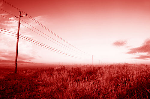 Powerlines Descend Among Foggy Prairie (Red Shade Photo)