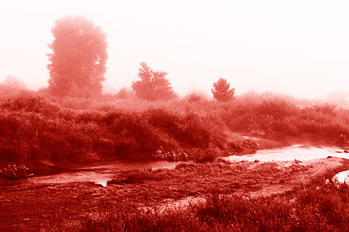 River Flowing Along Foggy Vegetation (Red Shade Photo)