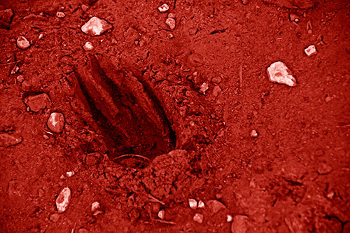 Rocks Surround Deep Mud Paw Footprint (Red Shade Photo)
