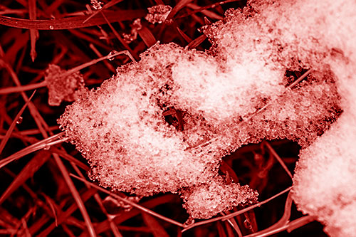 Sad Melting Grass Tangled Snow Face (Red Shade)