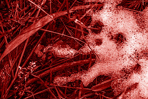 Sad Mouth Melting Ice Face Creature Among Soggy Grass (Red Shade Photo)