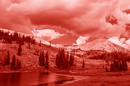 Scattered Trees Along Mountainside (Red Shade Photo)