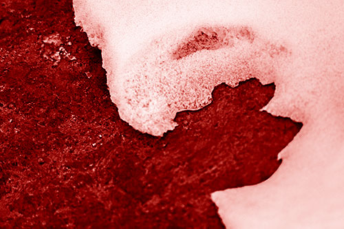Screaming Snow Face Slowly Melting Atop Rock Surface (Red Shade Photo)