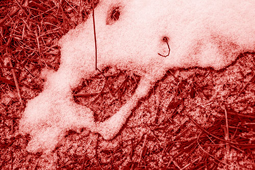 Screaming Stick Eyed Snow Face Among Grass (Red Shade Photo)