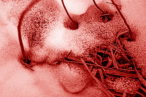 Screaming Twisted Grass Face Piercing Through Snow (Red Shade)