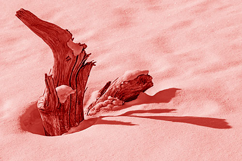 Shadow Casting Tree Trunk Waving Among Snow (Red Shade)