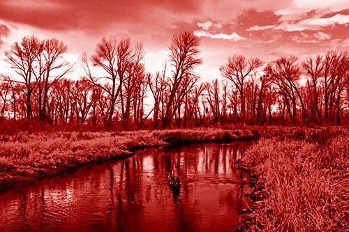 Shadow Casting Trees Along Riverbend (Red Shade)