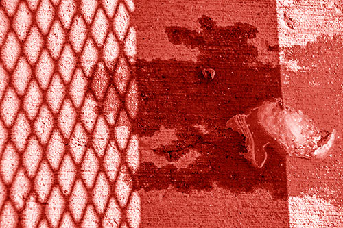 Shadow Obstructs Slobbery Pooch Faced Puddle (Red Shade Photo)
