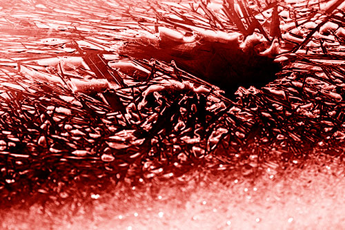 Shattered Ice Crystals Surround Water Hole (Red Shade Photo)