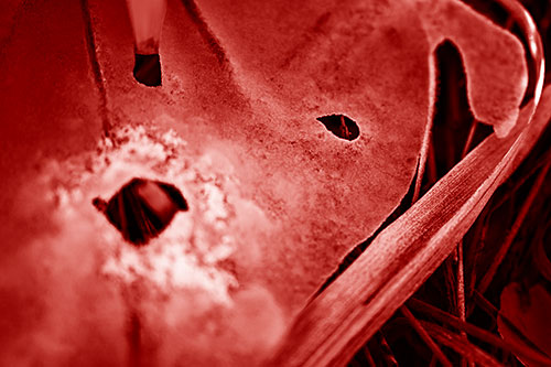 Shocked Peeling Grass Eyed Ice Face (Red Shade)