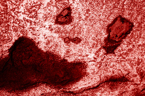 Shocked Puddle Face Drying Among Rock Surface (Red Shade)