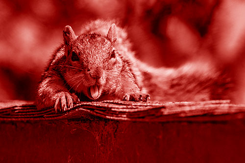 Sleepy Squirrel Yawning Among Rooftop (Red Shade)