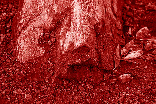 Slime Covered Rock Face Resting Along Shoreline (Red Shade Photo)