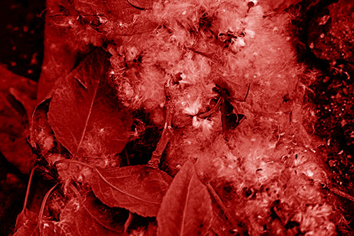 Smiling Cotton Stick Face Among Fallen Leaves (Red Shade)