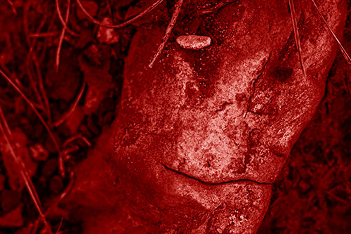 Smirking Battered Rock Face (Red Shade Photo)