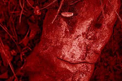 Smirking Battered Rock Face (Red Shade)