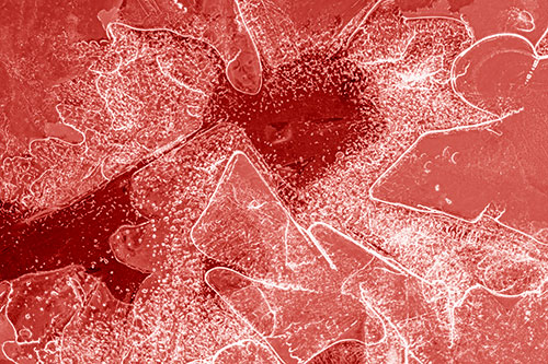 Smug Ice Face Among Frozen River Water (Red Shade)