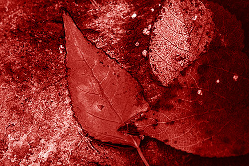 Soggy Cannibal Leaf Face Chewing Another Leaf (Red Shade)