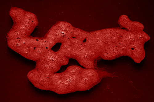 Sorrow Morphing Bubble Face Floating Above Soil (Red Shade)