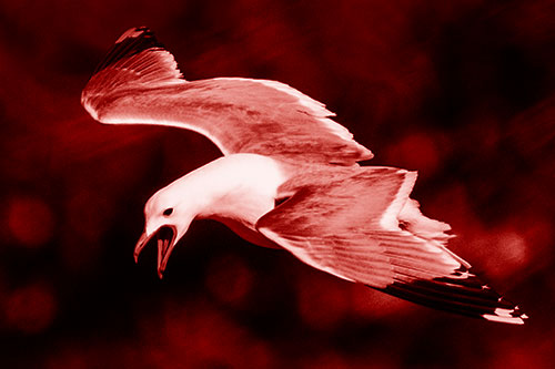 Squealing Seagull Spots Creature Among Lake Below (Red Shade)