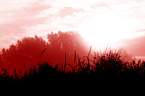 Sun Rises Beyond Fog Filled Treeline (Red Shade Photo)
