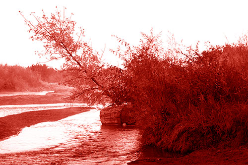Tilted Fall Tree Over Flowing River (Red Shade Photo)