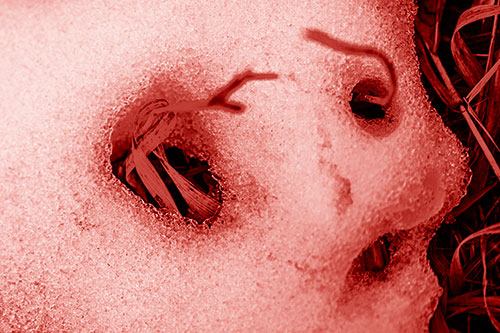 Twisting Grass Eyed Snow Face (Red Shade)
