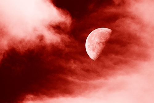 Upside Down Creature Cloud Moon Gazing (Red Shade Photo)