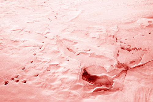 V Shaped Footprint Path Across Frozen Snow Covered River (Red Shade Photo)