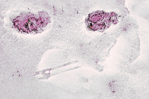 Beak Mouthed Footprint Face Among Snow (Red Tint)