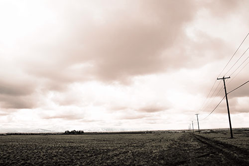Bleak Clouded Sky Consumes Powerline Prairie (Red Tint Photo)