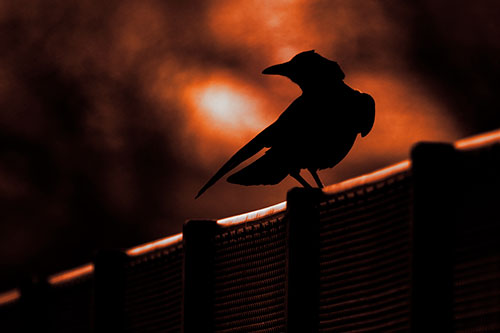 Crow Silhouette Atop Guardrail (Red Tint Photo)