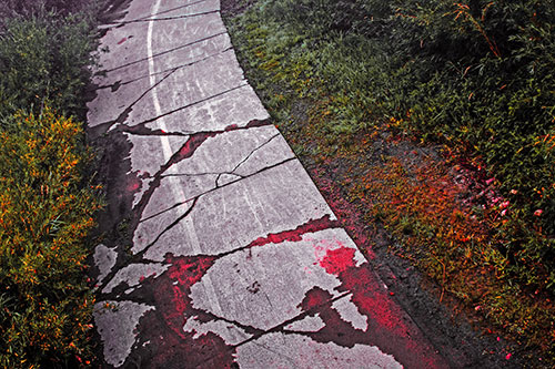 Curving Muddy Concrete Cracked Sidewalk (Red Tint Photo)
