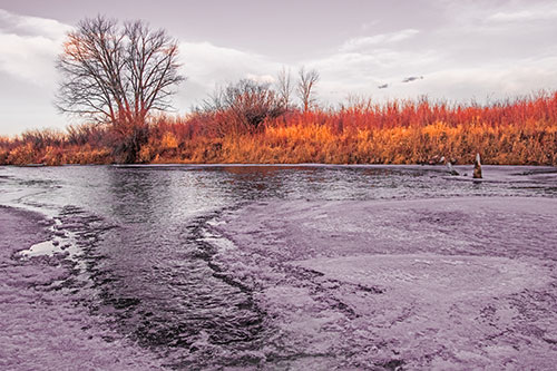 Dead Trees Surround Ice Melting River (Red Tint)